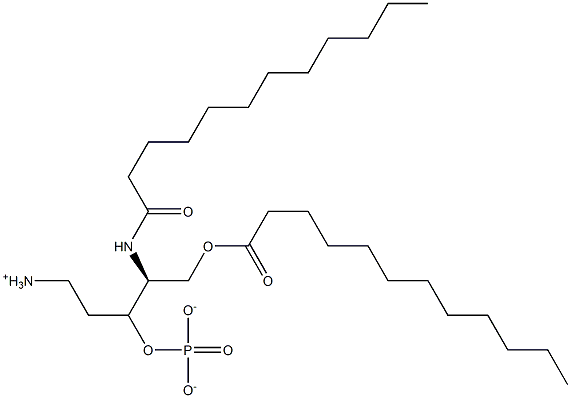 Phosphoric acid (2-ammonioethyl)[(S)-2-dodecanoylamino-3-dodecanoyloxypropyl] ester Structure