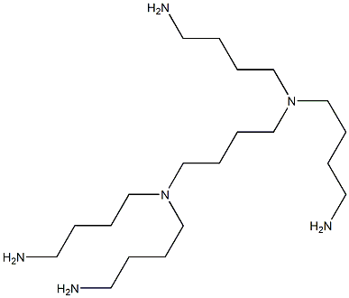 N,N,N',N'-Tetrakis(4-aminobutyl)-1,4-butanediamine 구조식 이미지