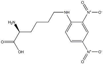 (S)-2-[4-(2,4-Dinitrophenylamino)butyl]glycine 구조식 이미지