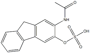 N-[3-(Sulfooxy)-9H-fluoren-2-yl]acetamide 구조식 이미지