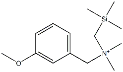 3-Methoxy-N,N-dimethyl-N-(trimethylsilylmethyl)benzenemethanaminium 구조식 이미지