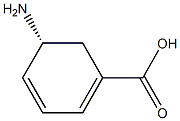 (R)-5-Amino-1,3-cyclohexadiene-1-carboxylic acid Structure