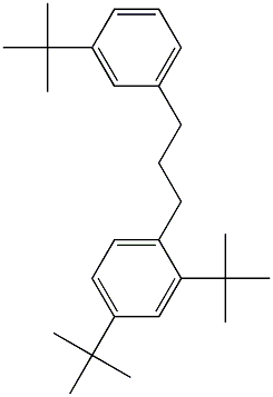 1-(2,4-Di-tert-butylphenyl)-3-(3-tert-butylphenyl)propane Structure