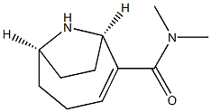 (1R,6R)-N,N-Dimethyl-9-azabicyclo[4.2.1]non-2-ene-2-carboxamide Structure
