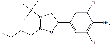 2-Butyl-3-tert-butyl-5-(4-amino-3,5-dichlorophenyl)-1,3,2-oxazaborolidine 구조식 이미지