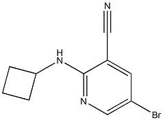 5-bromo-2-(cyclobutylamino)pyridine-3-carbonitrile 구조식 이미지