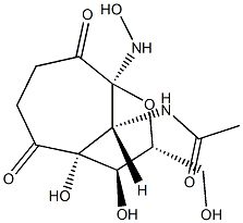 N-(Succinyl)-2-acetamido-2-deoxy-b-D-glucopyranosylhydroxylamine 구조식 이미지