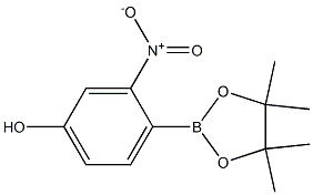 3-nitro-4-(4,4,5,5-tetramethyl-1,3,2-dioxaborolan-2-yl)-phenol Structure