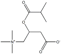 Isobutyryl carnitine Structure