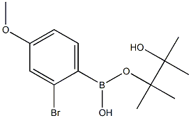 2-Bromo-4-methoxyphenylboronic acid pinacol ester Structure