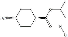 trans-Isopropyl 4-aminocyclohexanecarboxylate hydrochloride 구조식 이미지