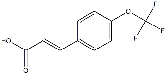 4-trifluoromethoxycinnamic acid Structure