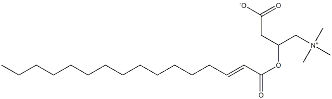 trans-Hexadec-2-enoyl carnitine Structure