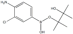 4-Amino-3-chlorobenzeneboronic acid, pinacol ester 구조식 이미지