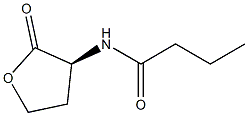 N-butyrylhomoserine lactone 구조식 이미지