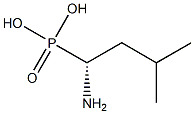 leucine phosphonic acid Structure