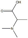 N,N-Dimethyl-DL-Alanine Structure