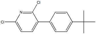 3-(4-TERT-BUTYLPHENYL)-2,6-DICHLOROPYRIDINE 구조식 이미지