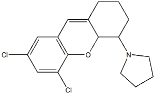 1-(5,7-dichloro-2,3,4,4a-tetrahydro-1H-xanthen-4-yl)pyrrolidine 구조식 이미지