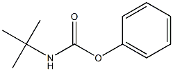 phenyl N-(tert-butyl)carbamate Structure