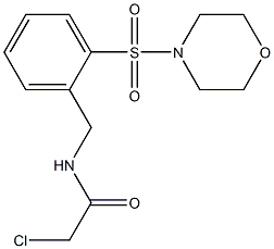 2-chloro-N-[2-(morpholin-4-ylsulfonyl)benzyl]acetamide 구조식 이미지