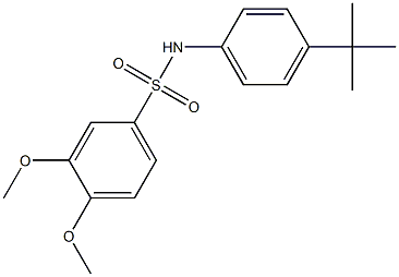 N1-[4-(tert-butyl)phenyl]-3,4-dimethoxybenzene-1-sulfonamide 구조식 이미지