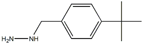 1-(4-tert-butylbenzyl)hydrazine Structure