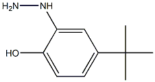 4-tert-butyl-2-hydrazinylphenol Structure