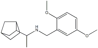 (1-{bicyclo[2.2.1]heptan-2-yl}ethyl)[(2,5-dimethoxyphenyl)methyl]amine Structure