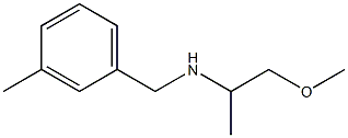 (1-methoxypropan-2-yl)[(3-methylphenyl)methyl]amine Structure