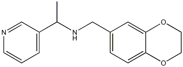 (2,3-dihydro-1,4-benzodioxin-6-ylmethyl)[1-(pyridin-3-yl)ethyl]amine Structure