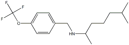 (6-methylheptan-2-yl)({[4-(trifluoromethoxy)phenyl]methyl})amine 구조식 이미지