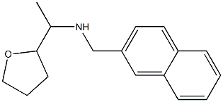 (naphthalen-2-ylmethyl)[1-(oxolan-2-yl)ethyl]amine 구조식 이미지