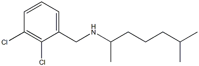 [(2,3-dichlorophenyl)methyl](6-methylheptan-2-yl)amine 구조식 이미지