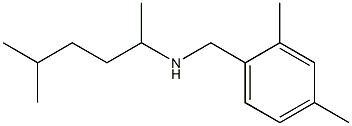 [(2,4-dimethylphenyl)methyl](5-methylhexan-2-yl)amine Structure