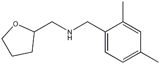 [(2,4-dimethylphenyl)methyl](oxolan-2-ylmethyl)amine Structure