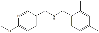 [(2,4-dimethylphenyl)methyl][(6-methoxypyridin-3-yl)methyl]amine Structure