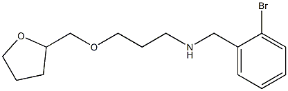 [(2-bromophenyl)methyl][3-(oxolan-2-ylmethoxy)propyl]amine Structure