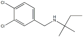 [(3,4-dichlorophenyl)methyl](2-methylbutan-2-yl)amine 구조식 이미지