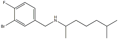 [(3-bromo-4-fluorophenyl)methyl](6-methylheptan-2-yl)amine Structure