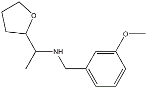 [(3-methoxyphenyl)methyl][1-(oxolan-2-yl)ethyl]amine 구조식 이미지