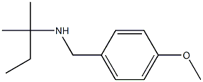 [(4-methoxyphenyl)methyl](2-methylbutan-2-yl)amine 구조식 이미지