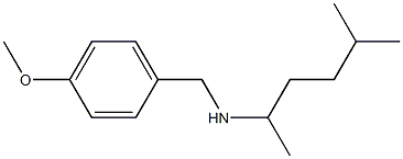 [(4-methoxyphenyl)methyl](5-methylhexan-2-yl)amine 구조식 이미지