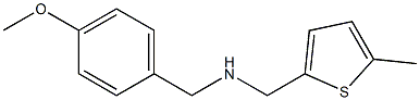 [(4-methoxyphenyl)methyl][(5-methylthiophen-2-yl)methyl]amine 구조식 이미지