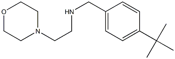 [(4-tert-butylphenyl)methyl][2-(morpholin-4-yl)ethyl]amine 구조식 이미지