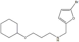 [(5-bromofuran-2-yl)methyl][3-(cyclohexyloxy)propyl]amine 구조식 이미지
