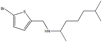 [(5-bromothiophen-2-yl)methyl](6-methylheptan-2-yl)amine 구조식 이미지