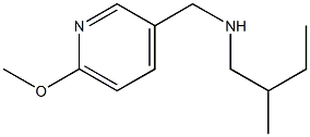 [(6-methoxypyridin-3-yl)methyl](2-methylbutyl)amine 구조식 이미지