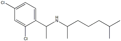 [1-(2,4-dichlorophenyl)ethyl](6-methylheptan-2-yl)amine Structure