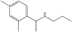[1-(2,4-dimethylphenyl)ethyl](propyl)amine 구조식 이미지